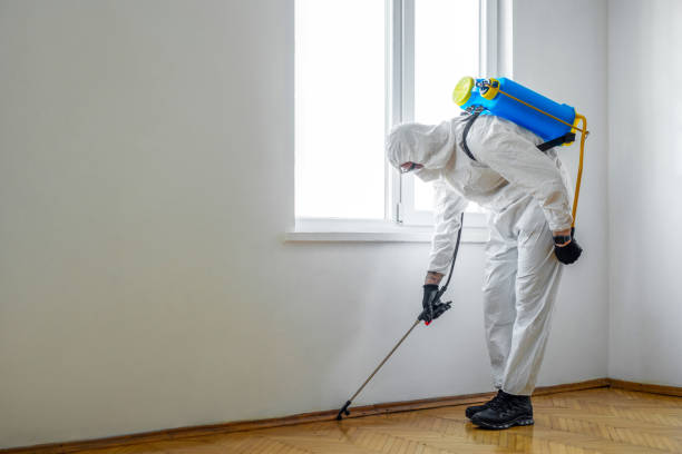 Best Emergency Pest Control  in Monroe, LA