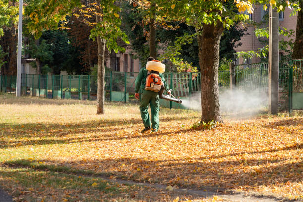 Best Mosquito Control Services  in Monroe, LA