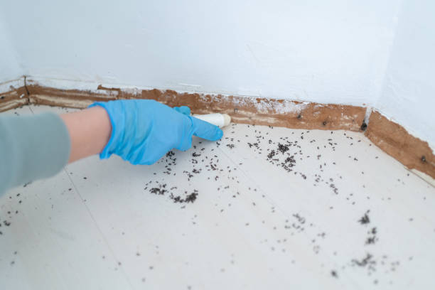 Professional Pest Control in Monroe, LA