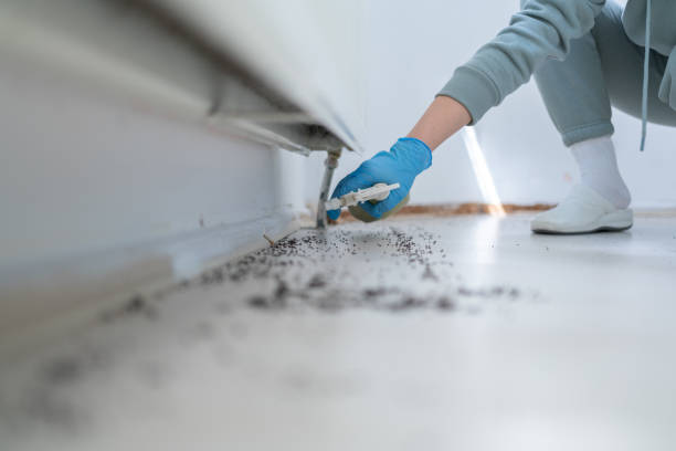 Best Affordable Pest Control Services  in Monroe, LA